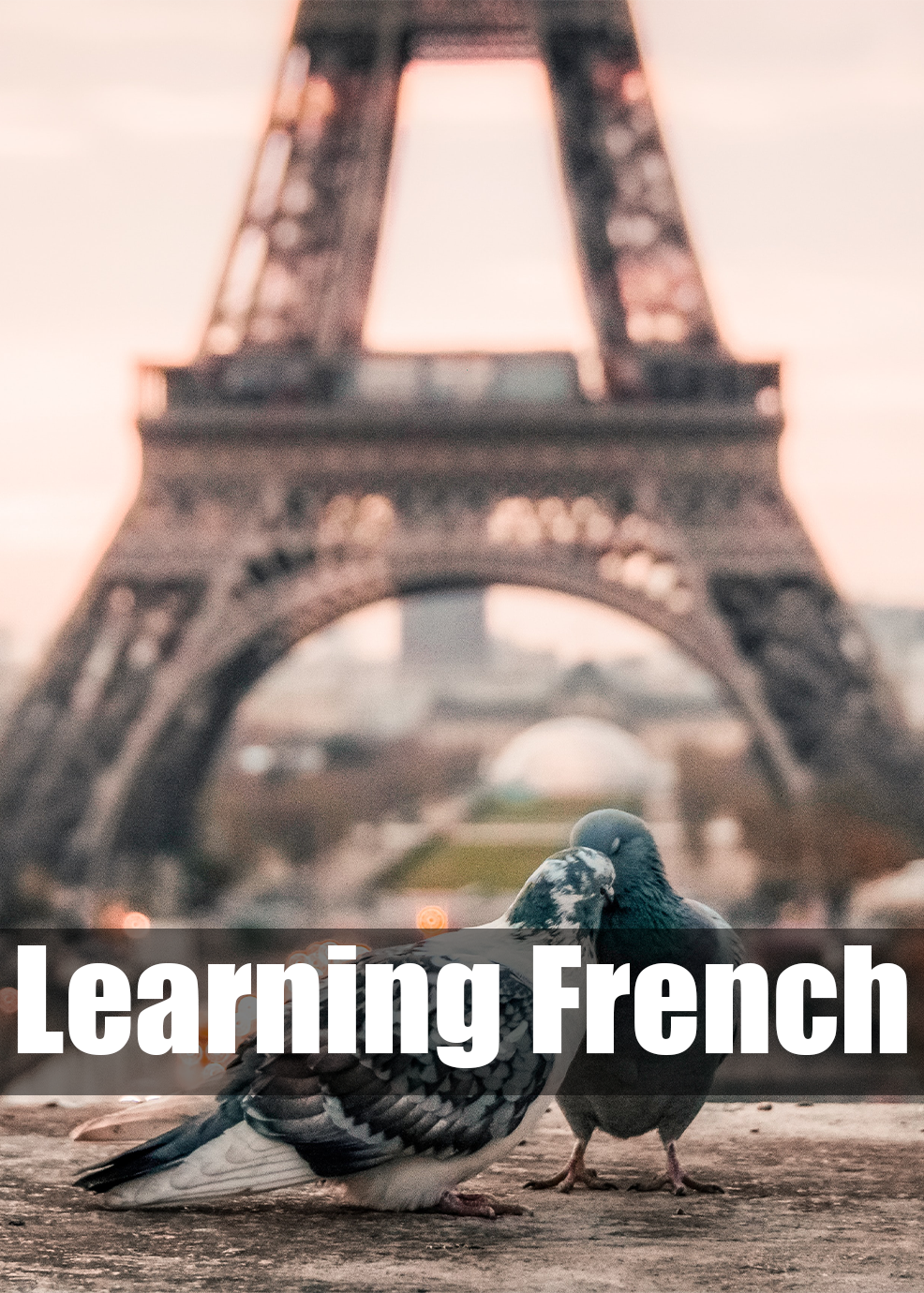 Learning French