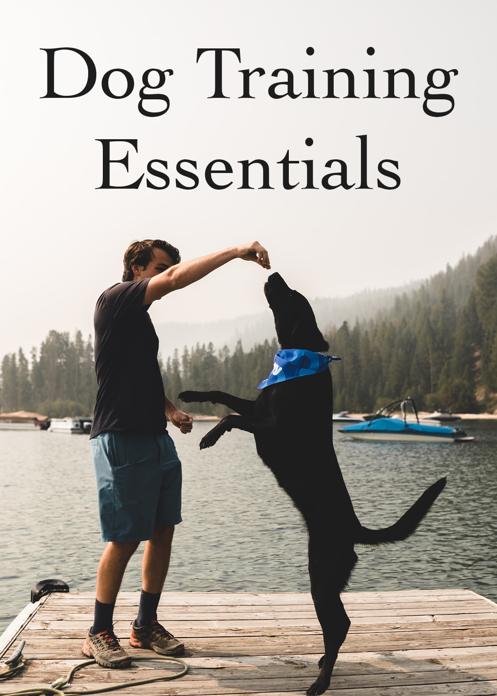 Dog Training Essentials